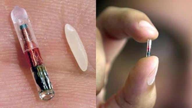 Microchip para implantar na mão