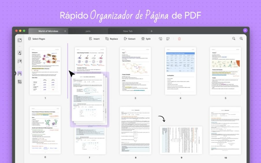 Organizar PDFs de forma fácil com UPDF - melhor leitor de PDF